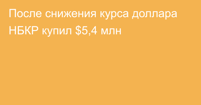 После снижения курса доллара НБКР купил $5,4 млн