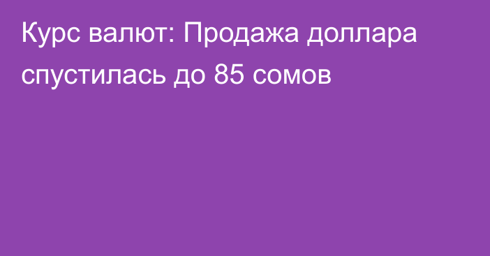 Курс валют: Продажа доллара спустилась до 85 сомов