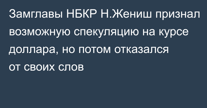 Замглавы НБКР Н.Жениш признал возможную спекуляцию на курсе доллара, но потом отказался от своих слов