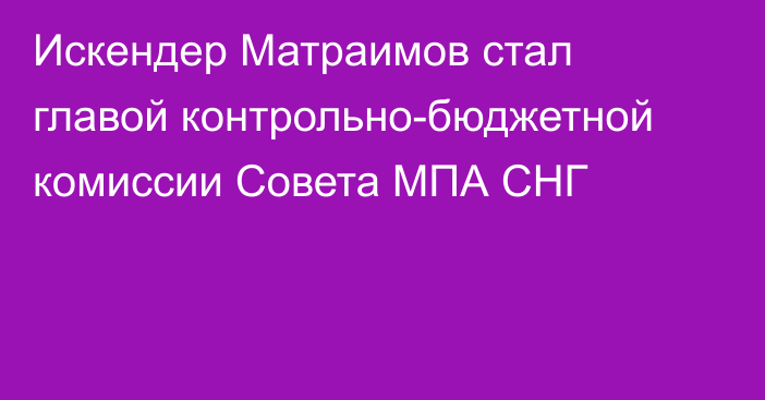 Искендер Матраимов стал главой контрольно-бюджетной комиссии Совета МПА СНГ