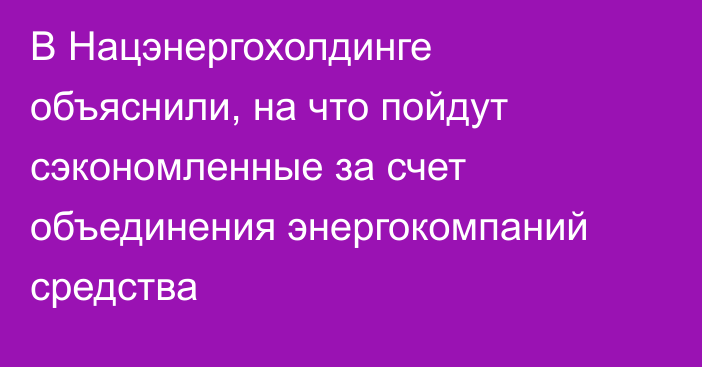 В Нацэнергохолдинге объяснили, на что пойдут сэкономленные за счет объединения энергокомпаний средства