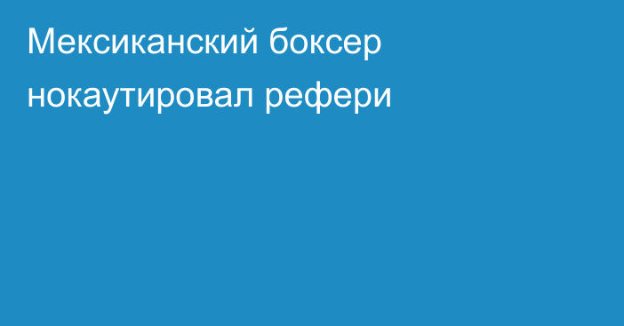 Мексиканский боксер нокаутировал рефери