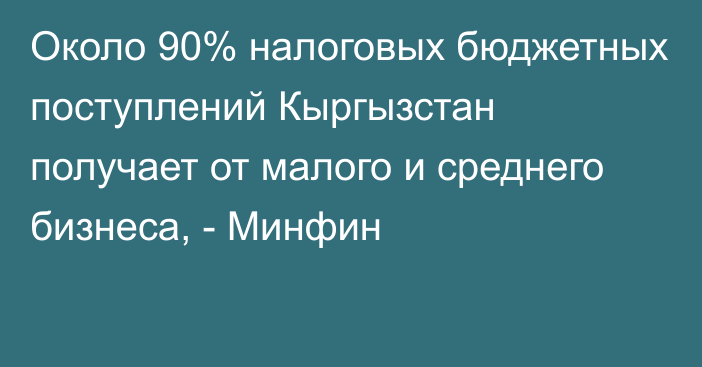 Около 90% налоговых бюджетных поступлений Кыргызстан получает от малого и среднего бизнеса, - Минфин