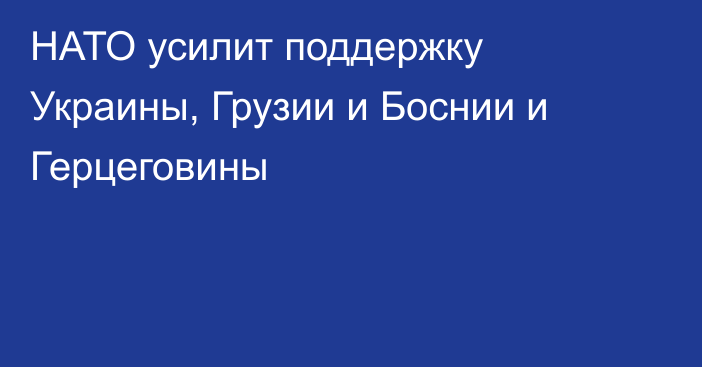 НАТО усилит поддержку Украины, Грузии и Боснии и Герцеговины