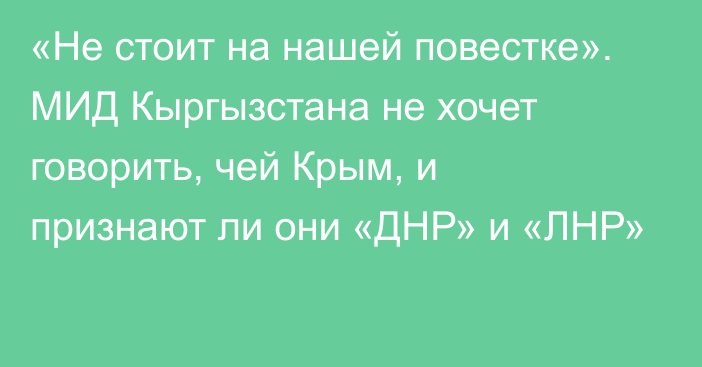 «Не стоит на нашей повестке». МИД Кыргызстана не хочет говорить, чей Крым, и признают ли они «ДНР» и «ЛНР»