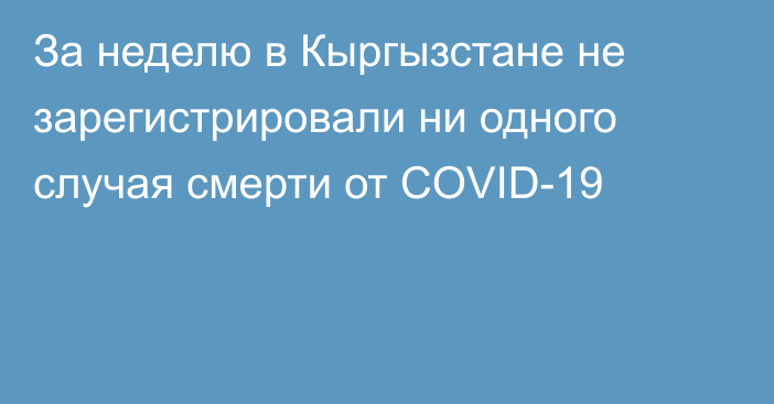 За неделю в Кыргызстане не зарегистрировали ни одного случая смерти от COVID-19