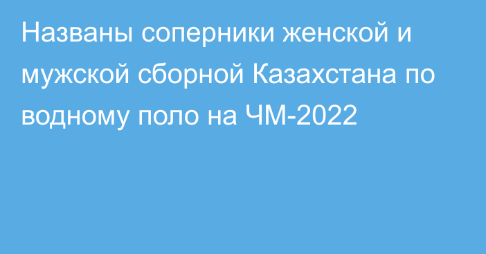 Названы соперники женской и мужской сборной Казахстана по водному поло на ЧМ-2022