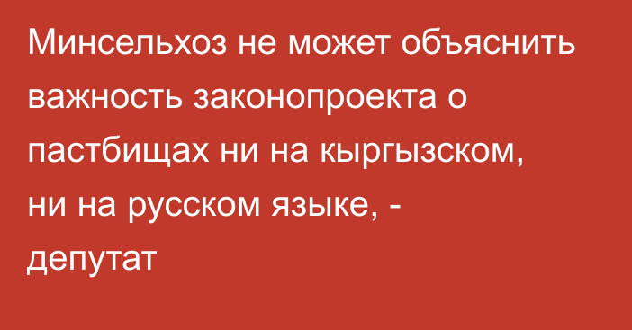 Минсельхоз не может объяснить важность законопроекта о пастбищах ни на кыргызском, ни на русском языке, - депутат