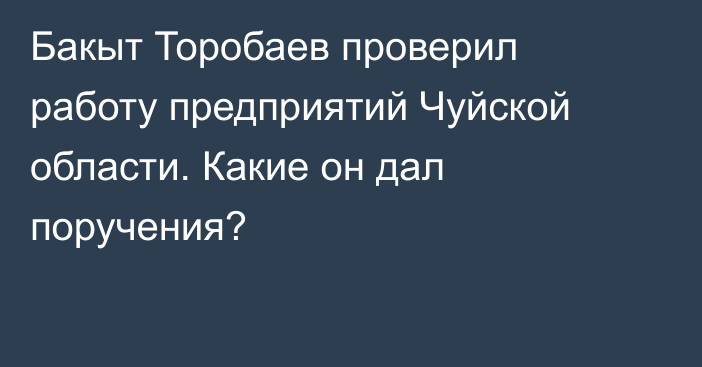 Бакыт Торобаев проверил работу предприятий Чуйской области. Какие он дал поручения?