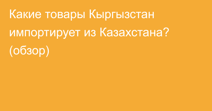 Какие товары Кыргызстан импортирует из Казахстана? (обзор)