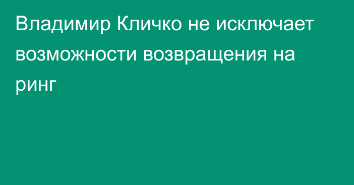 Владимир Кличко не исключает возможности возвращения на ринг