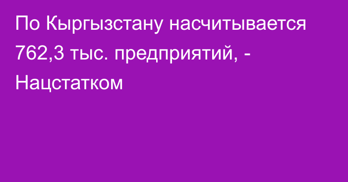 По Кыргызстану насчитывается 762,3 тыс. предприятий, - Нацстатком