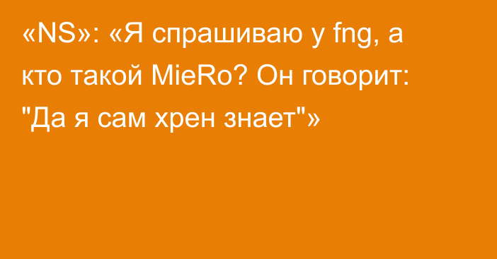 «NS»: «Я спрашиваю у fng, а кто такой MieRo? Он говорит: 