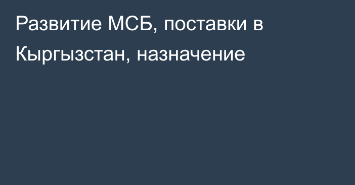 Развитие МСБ, поставки в Кыргызстан, назначение