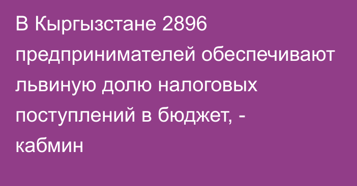 В Кыргызстане 2896 предпринимателей обеспечивают львиную долю налоговых поступлений в бюджет, - кабмин