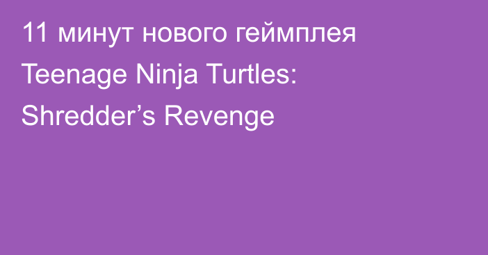 11 минут нового геймплея Teenage Ninja Turtles: Shredder’s Revenge