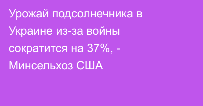 Урожай подсолнечника в Украине из-за войны сократится на 37%, - Минсельхоз США