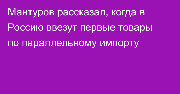 Мантуров рассказал, когда в Россию ввезут первые товары по параллельному импорту
