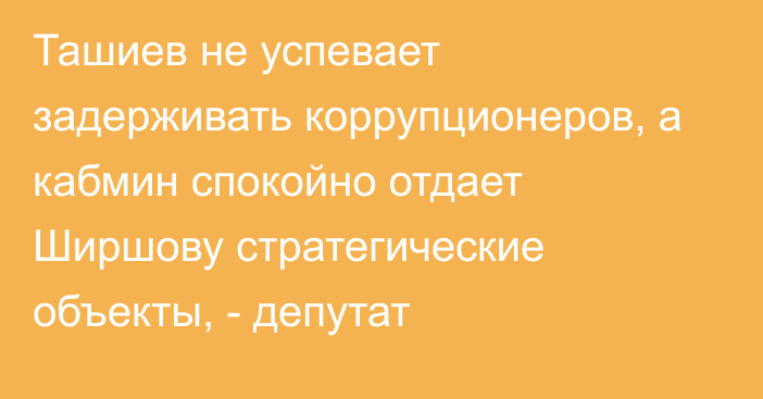 Ташиев не успевает задерживать коррупционеров, а кабмин спокойно отдает Ширшову стратегические объекты, - депутат