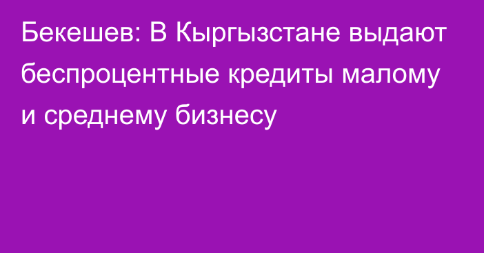 Бекешев: В Кыргызстане выдают беспроцентные кредиты малому и среднему бизнесу