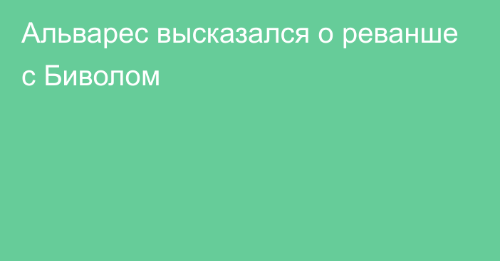 Альварес высказался о реванше с Биволом