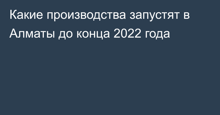Какие производства запустят в Алматы до конца 2022 года