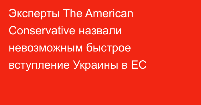Эксперты The American Conservative назвали невозможным быстрое вступление Украины в ЕС