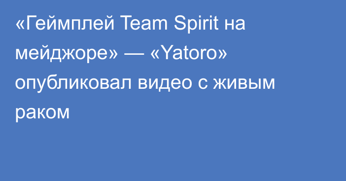 «Геймплей Team Spirit на мейджоре» — «Yatoro» опубликовал видео с живым раком