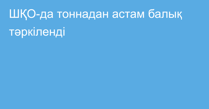 ШҚО-да тоннадан астам балық тәркіленді