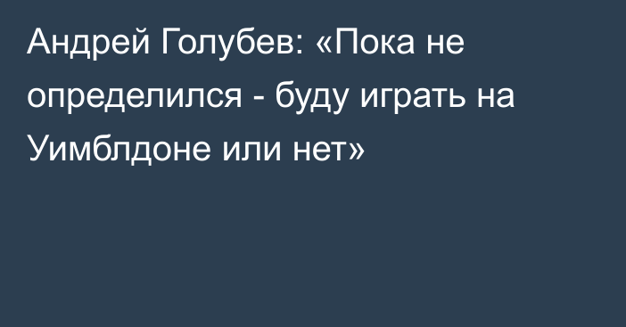 Андрей Голубев: «Пока не определился - буду играть на Уимблдоне или нет»