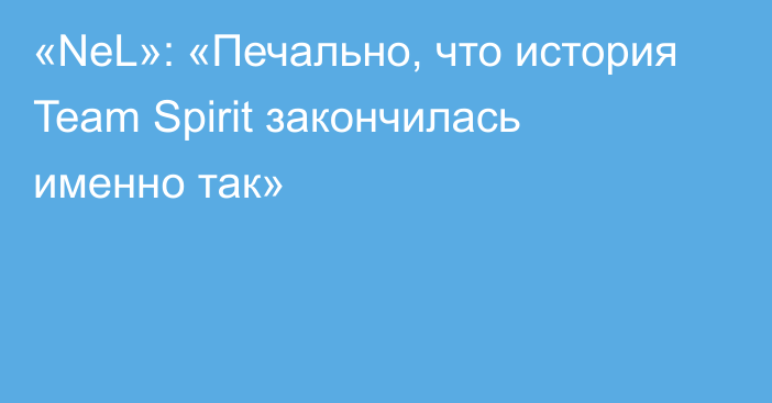 «NeL»: «Печально, что история Team Spirit закончилась именно так»