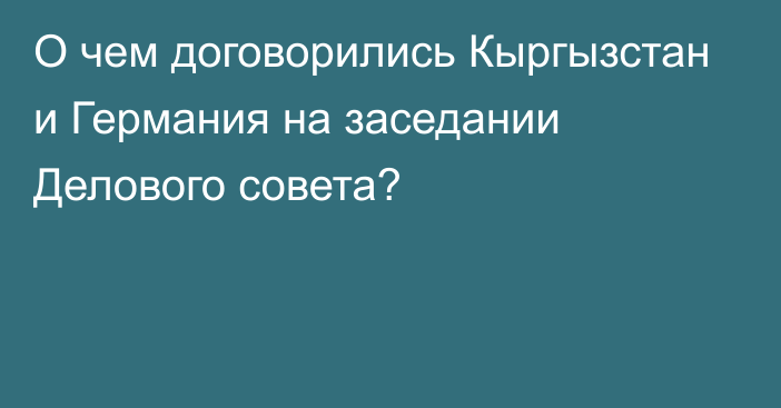 О чем договорились Кыргызстан и Германия на заседании Делового совета?