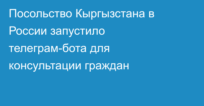 Посольство Кыргызстана в России запустило телеграм-бота для консультации граждан