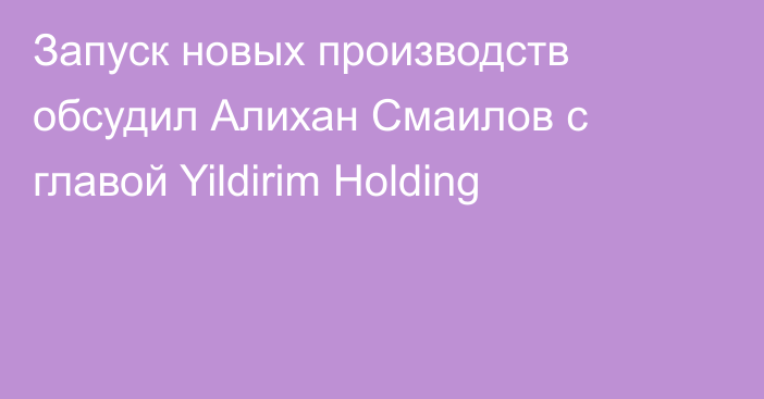 Запуск новых производств обсудил Алихан Смаилов с главой Yildirim Holding