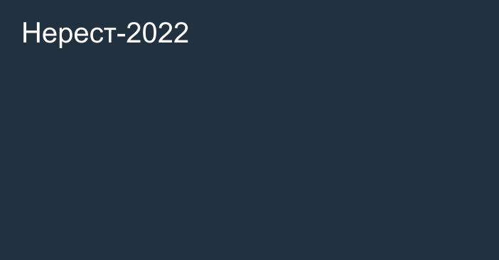 Нерест-2022