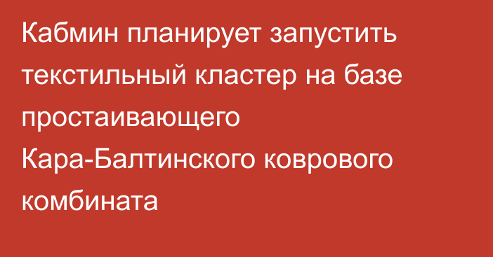 Кабмин планирует запустить текстильный кластер на базе простаивающего Кара-Балтинского коврового комбината