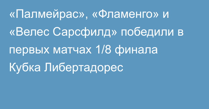 «Палмейрас», «Фламенго» и «Велес Сарсфилд» победили в первых матчах 1/8 финала Кубка Либертадорес