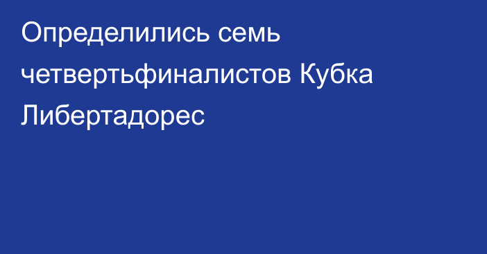 Определились семь четвертьфиналистов Кубка Либертадорес