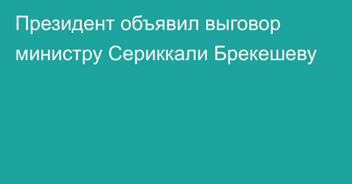 Президент объявил выговор министру Сериккали Брекешеву