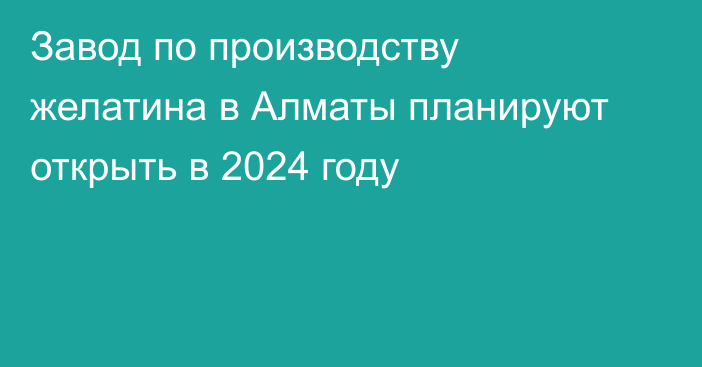 Завод по производству желатина в Алматы планируют открыть в 2024 году