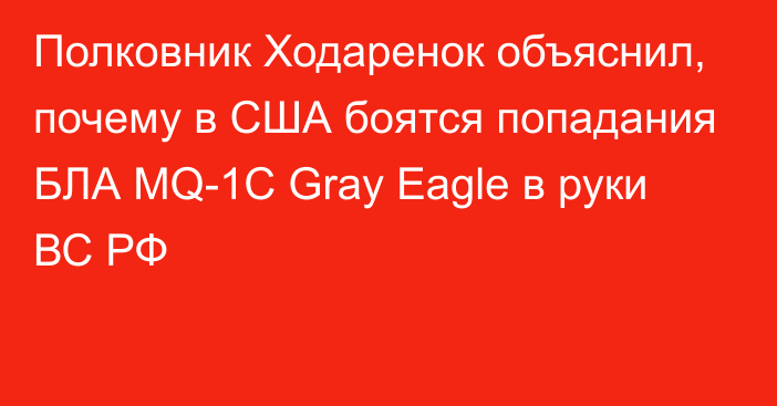 Полковник Ходаренок объяснил, почему в США боятся попадания БЛА MQ-1C Gray Eagle в руки ВС РФ