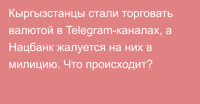 Кыргызстанцы стали торговать валютой в Telegram-каналах, а Нацбанк жалуется на них в милицию. Что происходит? 