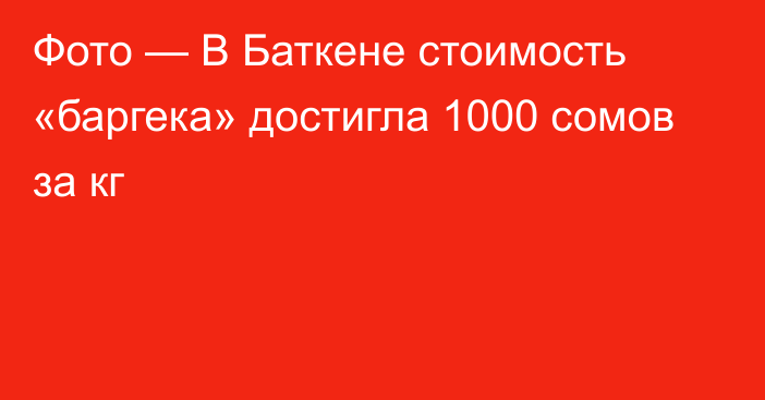 Фото — В Баткене стоимость «баргека» достигла 1000 сомов за кг