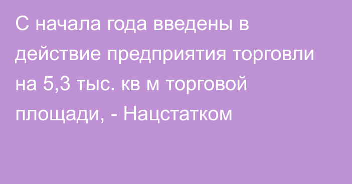 С начала года введены в действие предприятия торговли на 5,3 тыс. кв м торговой площади, - Нацстатком