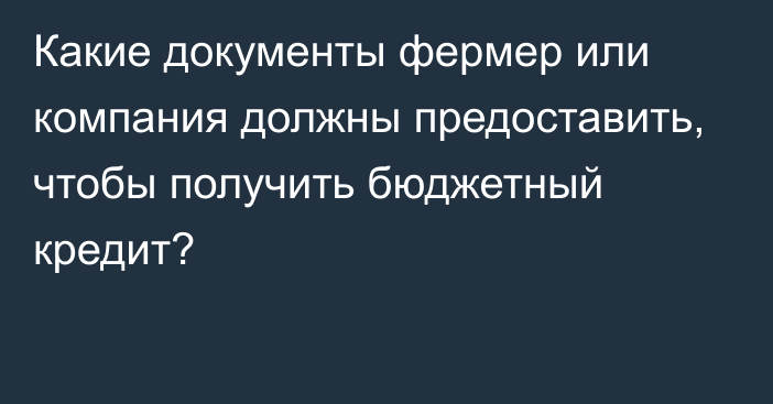 Какие документы фермер или компания должны предоставить, чтобы получить бюджетный кредит?