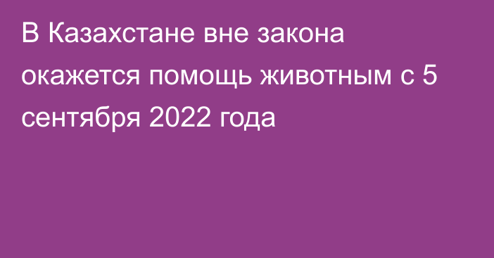 В Казахстане вне закона окажется  помощь животным с 5 сентября 2022 года