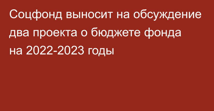 Соцфонд выносит на обсуждение два проекта о бюджете фонда на 2022-2023 годы