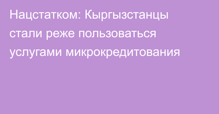 Нацстатком: Кыргызстанцы стали реже пользоваться услугами микрокредитования