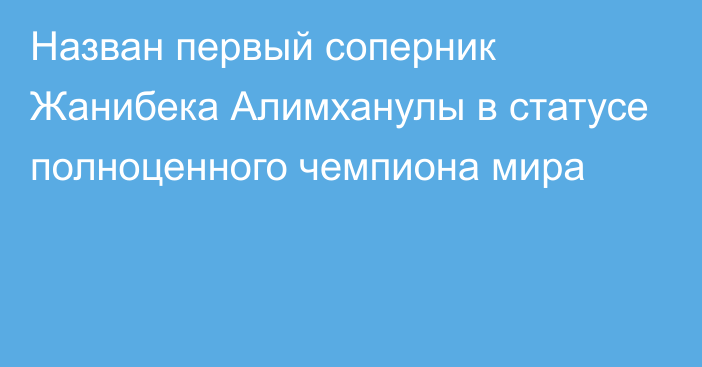 Назван первый соперник Жанибека Алимханулы в статусе полноценного чемпиона мира