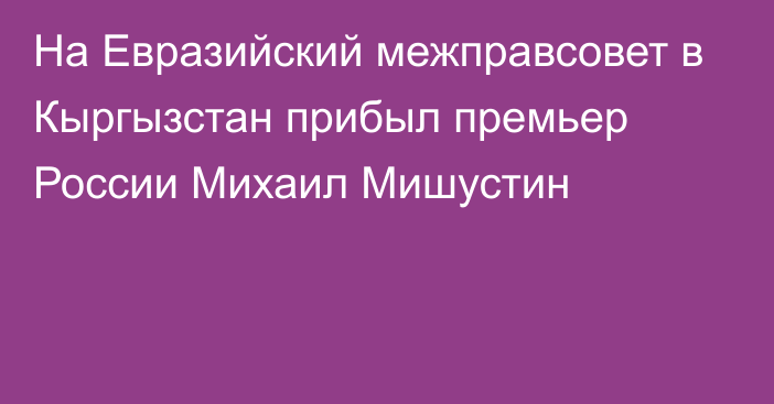 На Евразийский межправсовет в Кыргызстан прибыл премьер России Михаил Мишустин